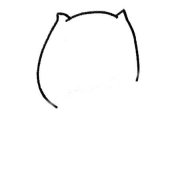 肥肥的小猫简笔画画法步骤