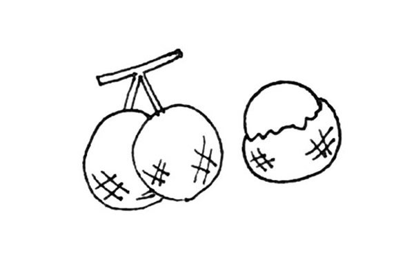 桂圆简笔画步骤图