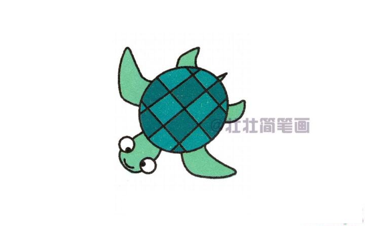 海龟简笔画画法_怎么画海龟的简笔画