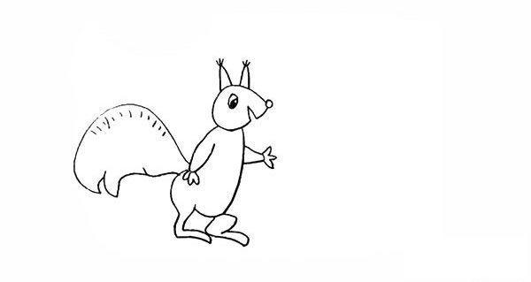 喜欢吃坚果的松鼠简笔画