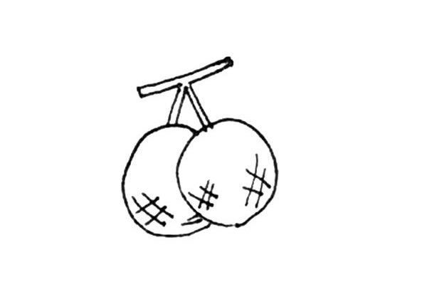 桂圆简笔画步骤图