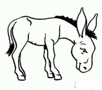 儿童动物简笔画大全:驴