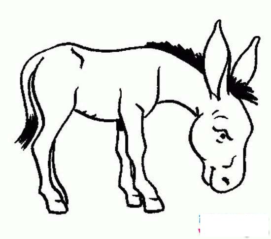 儿童动物简笔画大全:驴