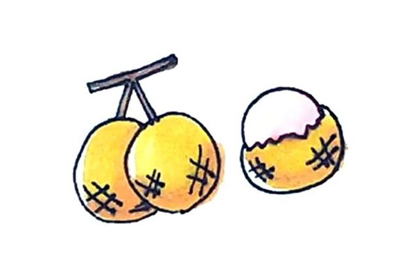 桂圆简笔画