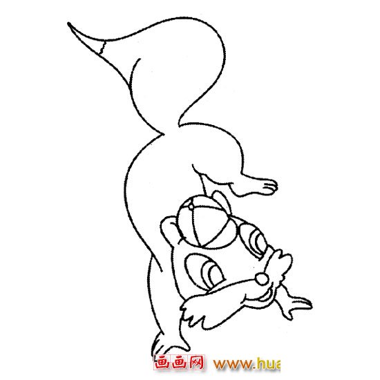表演节目的松鼠(简笔画)4