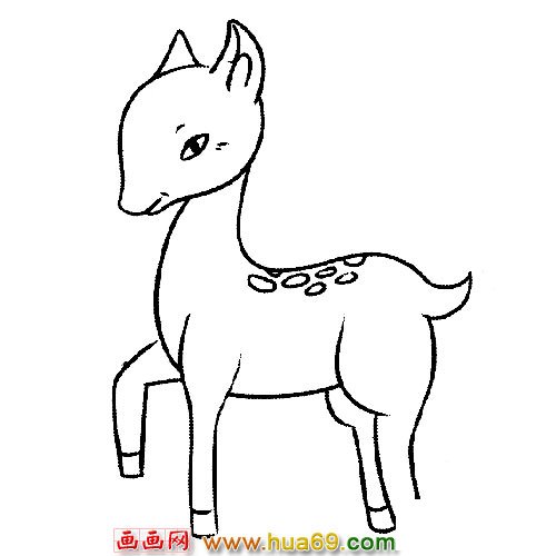 行走的小梅花鹿动物简笔画