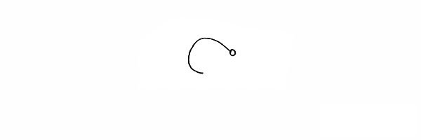 喜欢吃坚果的松鼠简笔画