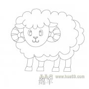 儿童简笔画:可爱的绵羊