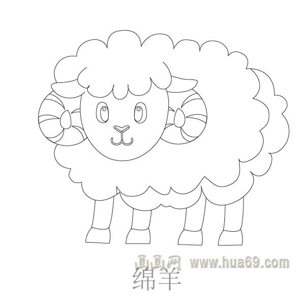 儿童简笔画：可爱的绵羊