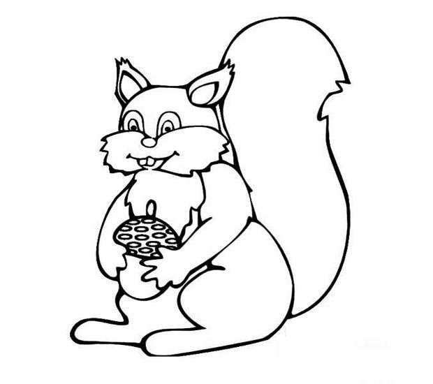 幼儿简笔画：抱着松果的小松鼠