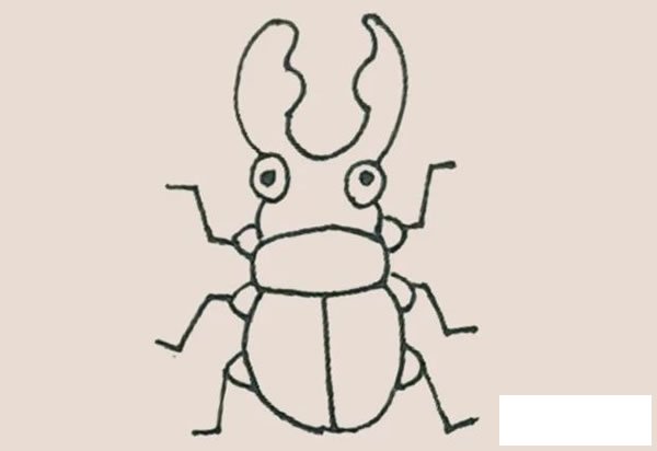 甲壳虫简笔画