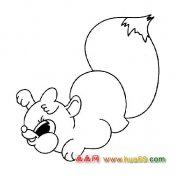 漂亮的小松鼠【简笔画】3