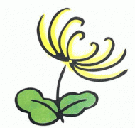 四君子之菊花简笔画画法_怎么画四君子之菊花