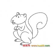 松鼠│动物简笔画1