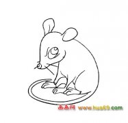 简笔画（凶恶的老鼠）1
