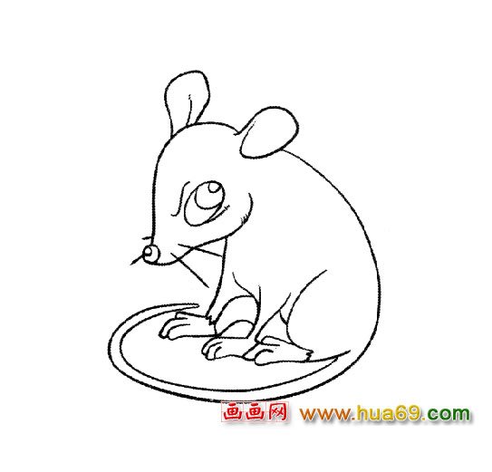 简笔画(凶恶的老鼠)1