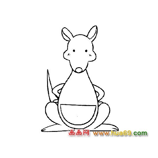 卡通简笔画│袋鼠4