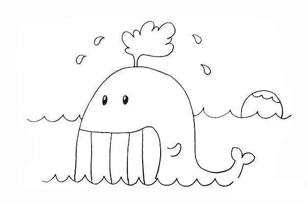 卡通鲸鱼简笔画