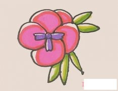 简单漂亮三色堇简笔画画法步骤图彩色