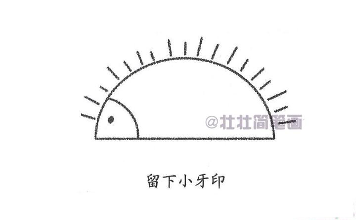 刺猬简笔画画法_怎么画刺猬的简笔画