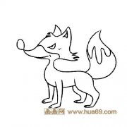 狡猾的狐狸简笔画6