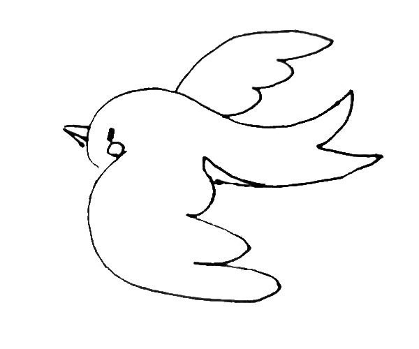 第五步:再画出小鸟的眼睛嘴巴,和一些纹理和装饰。