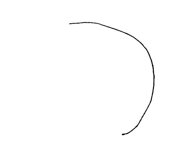 漂亮的雨伞简笔画