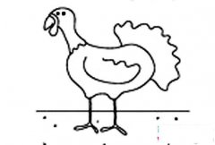 关于火鸡轮廓的简笔画图片