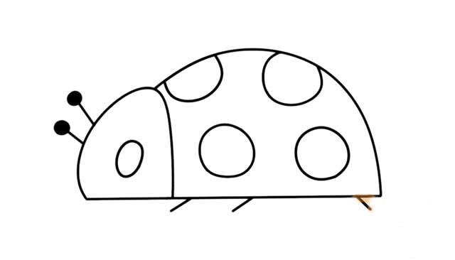 七星瓢虫简笔画