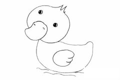 雏鸭简笔画步骤图解教程及图片大全