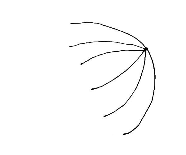 漂亮的雨伞简笔画