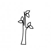 小树超简单的画法