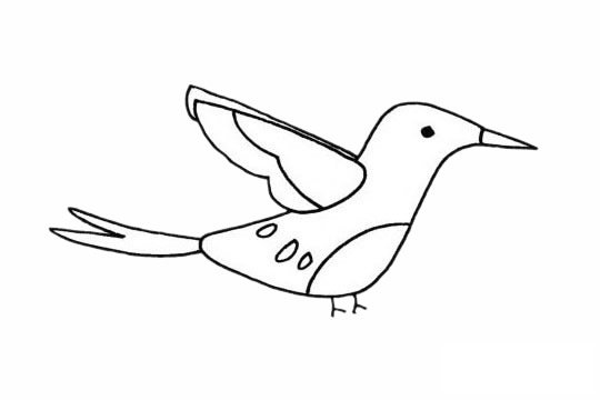 蜂鸟简笔画图片