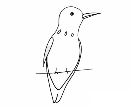 蜂鸟简笔画图片