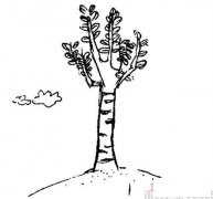 白杨树简笔画怎么画简单好看