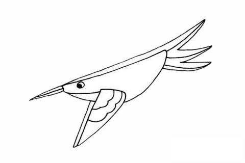 蜂鸟简笔画图片