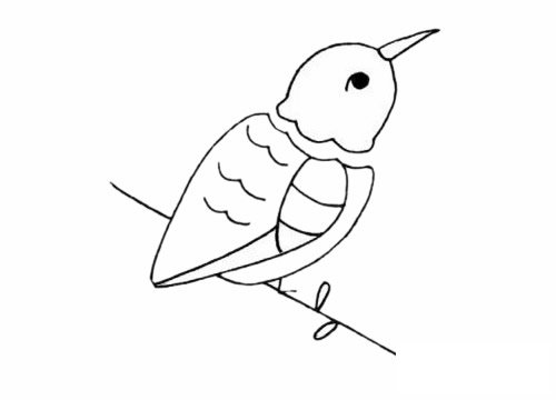 蜂鸟简笔画图片