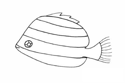 斑马鱼简笔画图片