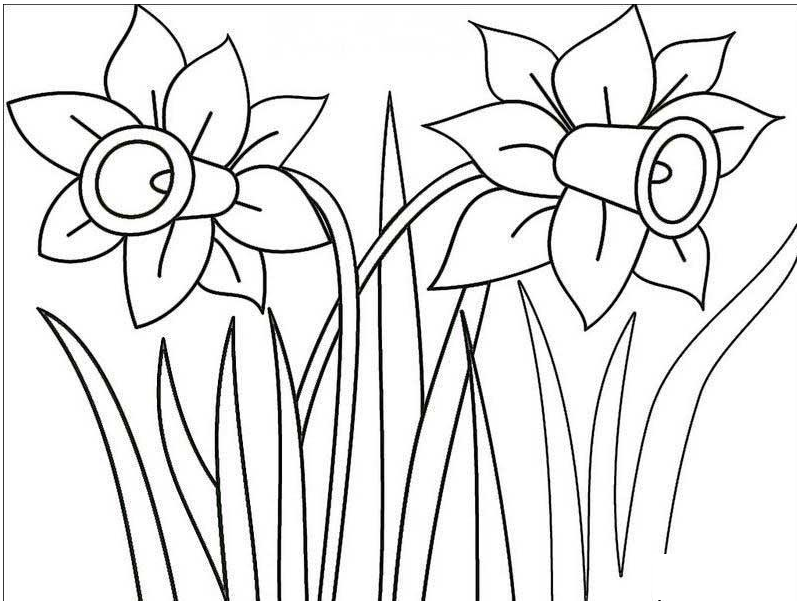 我爱花草简笔画