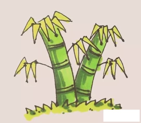 竹子简笔画