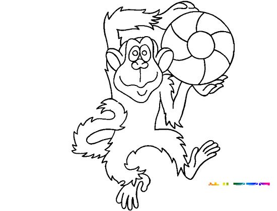 动物简笔画:调皮的小猴子2