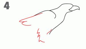 老鹰简笔画步骤图