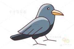 乌鸦简笔画教程
