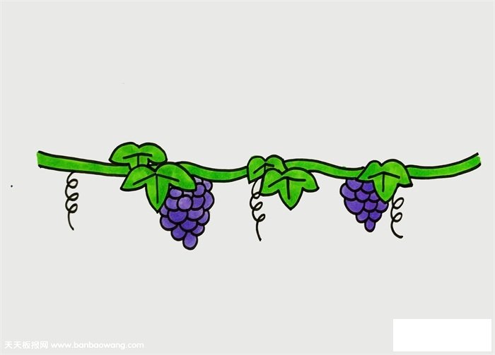 葡萄树怎么画