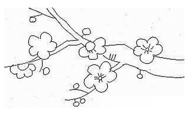 梅花简笔画简单好看