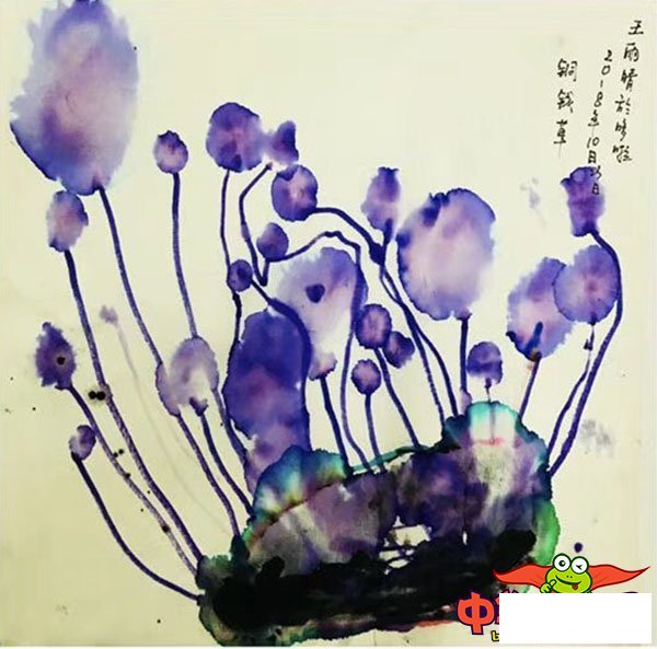 6岁幼儿创意美术作品,铜钱草的秘密