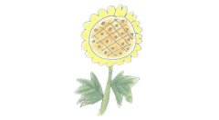 向日葵简笔画的画法步骤图教程