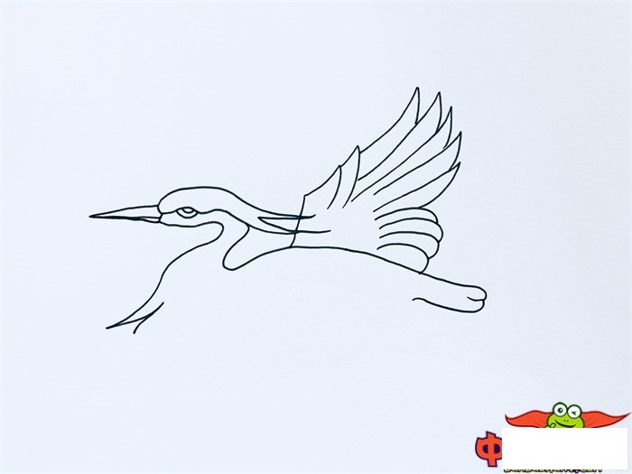 飞翔的白鹭简笔画