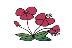 蝴蝶花简笔画_1