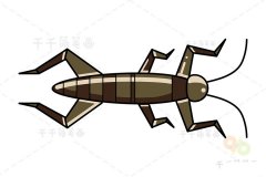 树龙虾简笔画教程